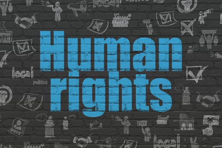 Direitos Humanos - UCPel