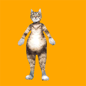 Animação de um gato cinza, em pé, em um fundo amarelo.