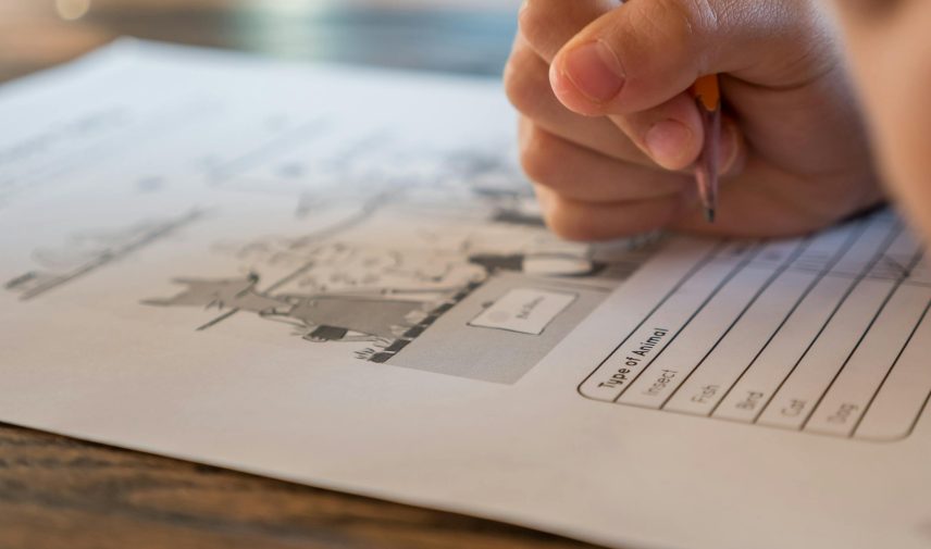 Closeup of crop anonymous elementary school pupil with pencil in hand doing marks on paper sheet with test about animals during lesson