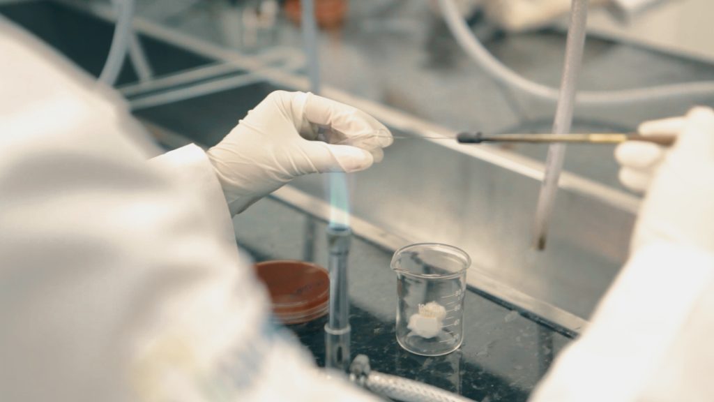 Atuação no laboratório da Farmácia UCPel